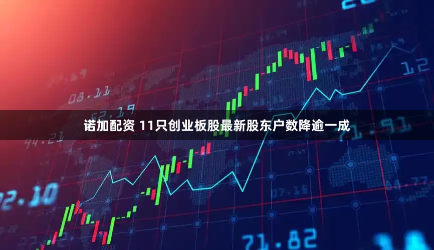 诺加配资 11只创业板股最新股东户数降逾一成