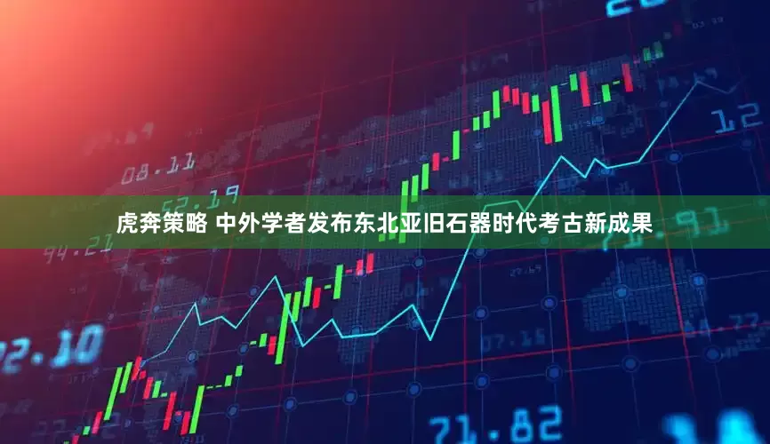 虎奔策略 中外学者发布东北亚旧石器时代考古新成果