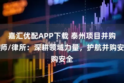 嘉汇优配APP下载 泰州项目并购律师/律所:深耕领域力量,护航并购安全